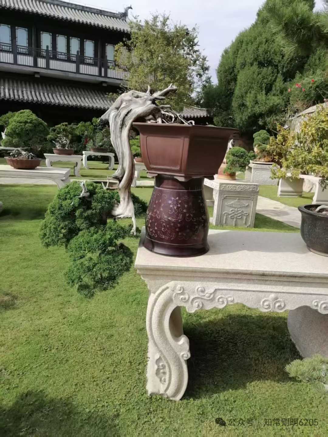 微信图片_2025-09-27_090200_896.jpg