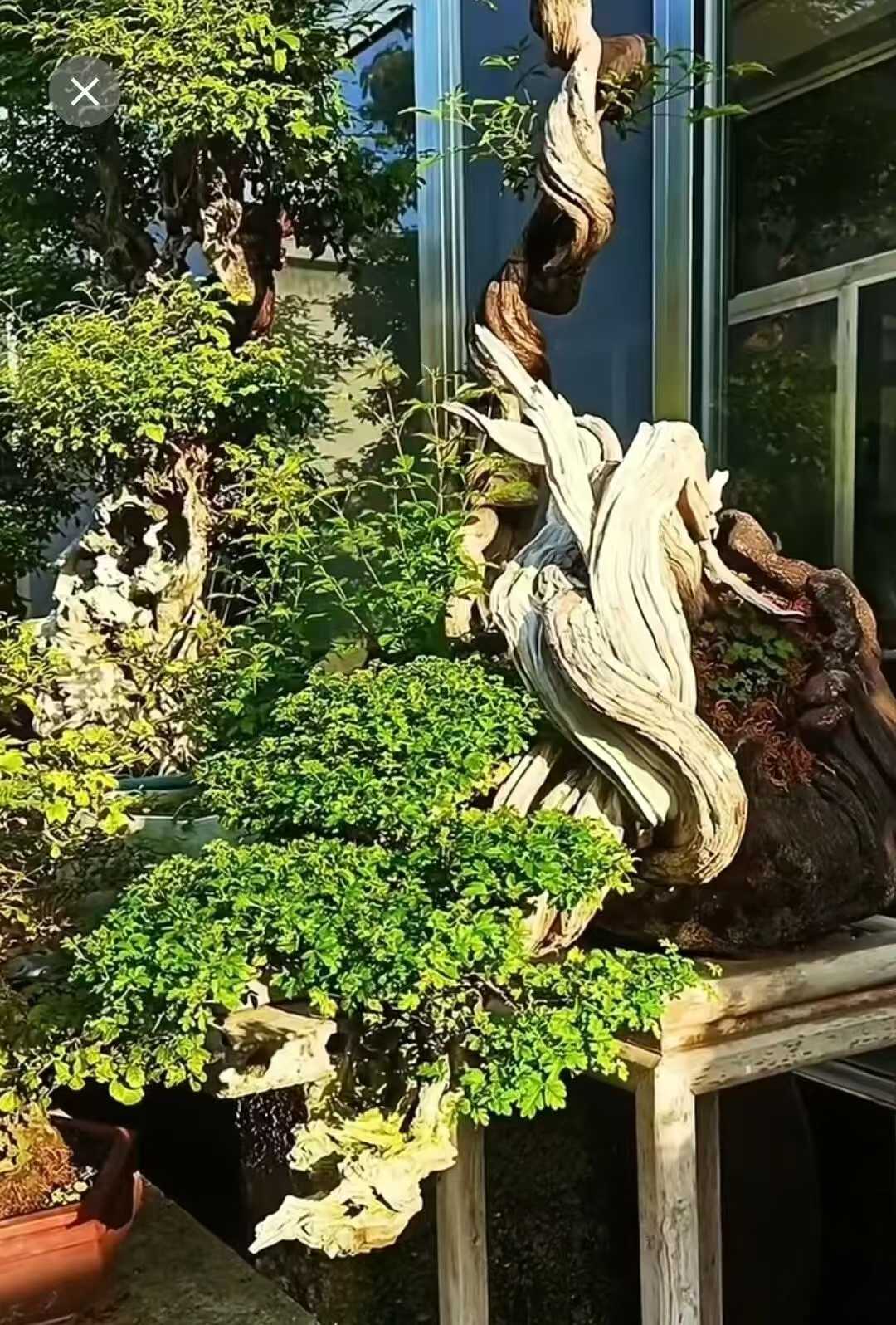 微信图片_2025-09-27_090154_176.jpg