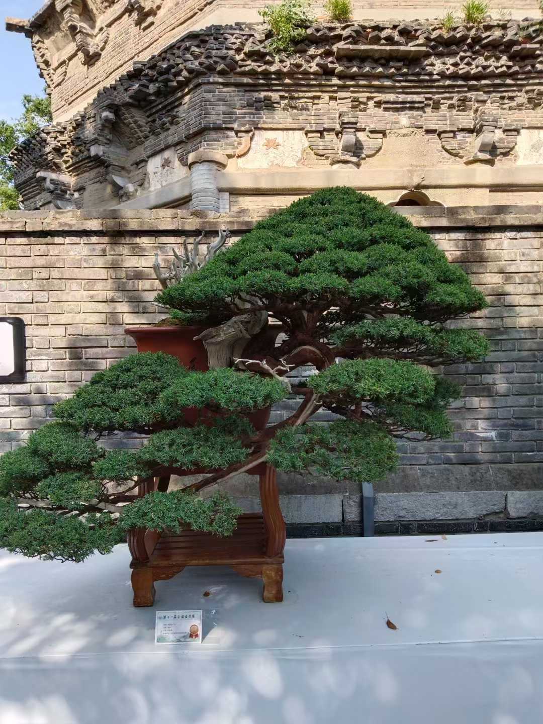 微信图片_2025-09-27_090755_073.jpg