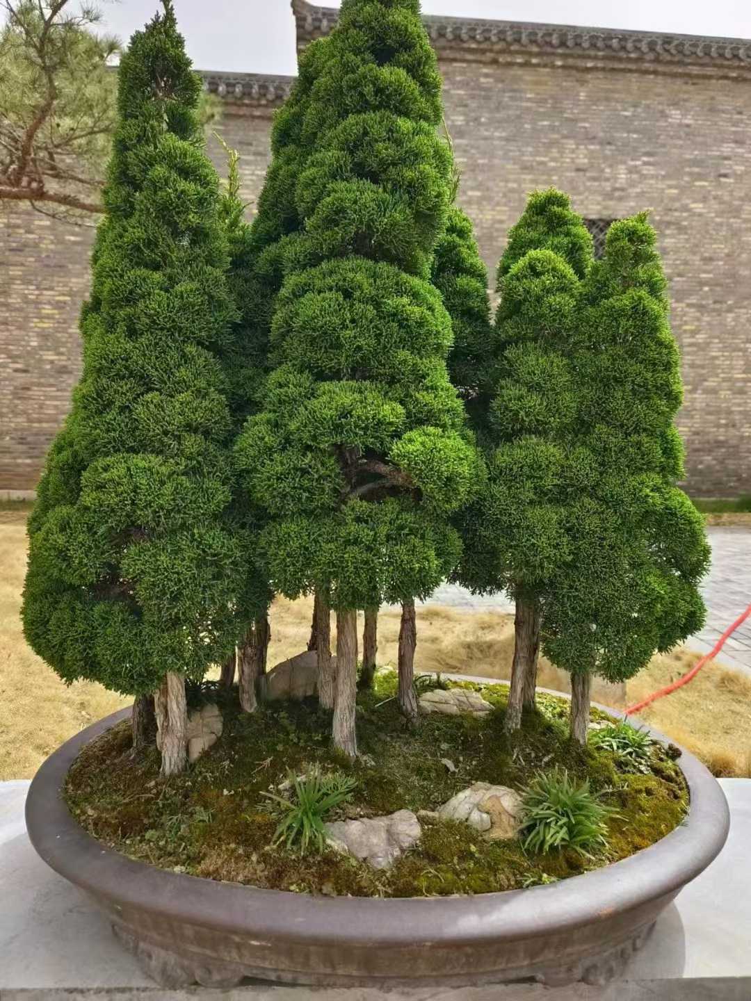 微信图片_2025-09-27_090822_864.jpg