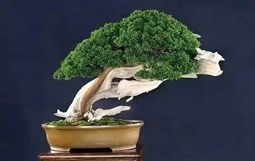 微信图片_2025-09-27_091230_193.jpg