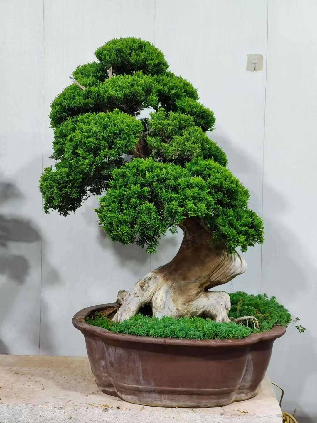 微信图片_2025-09-27_091347_826.jpg