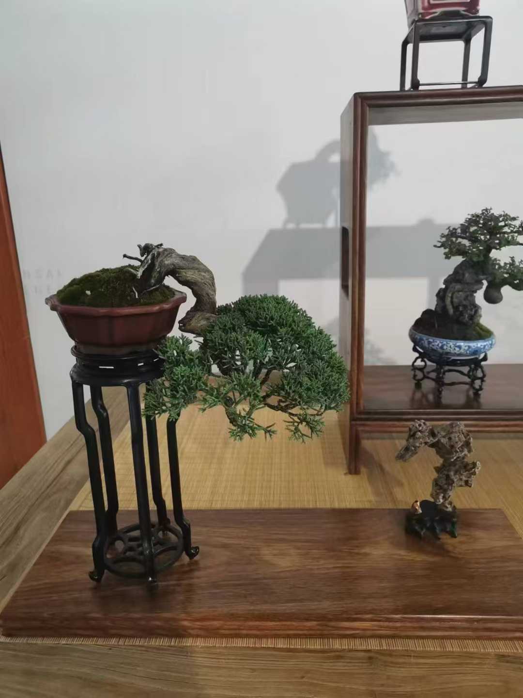 微信图片_2025-09-27_091451_739.jpg