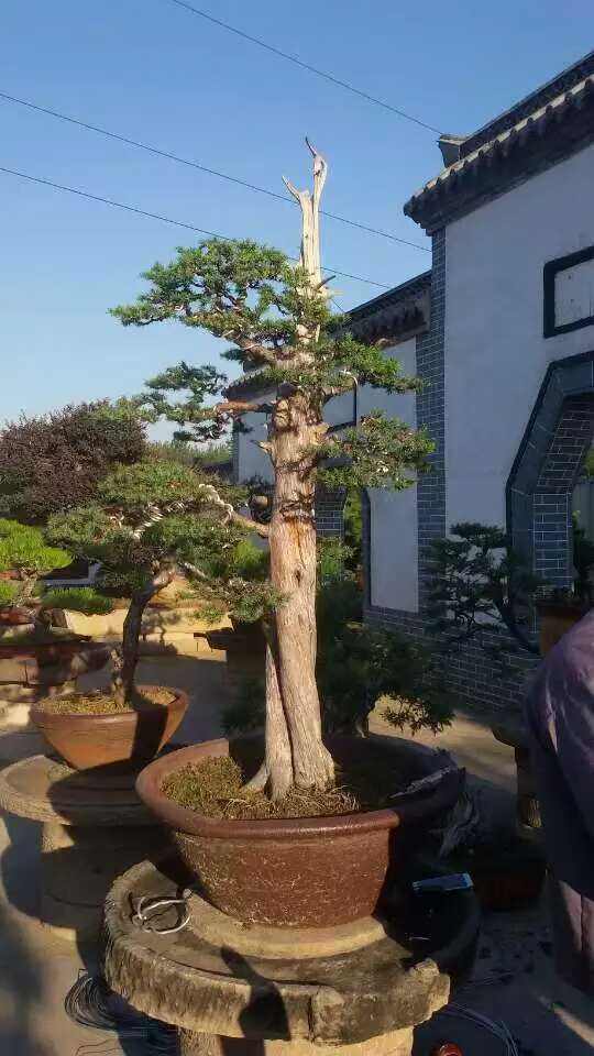 微信图片_2025-09-27_091456_553.jpg
