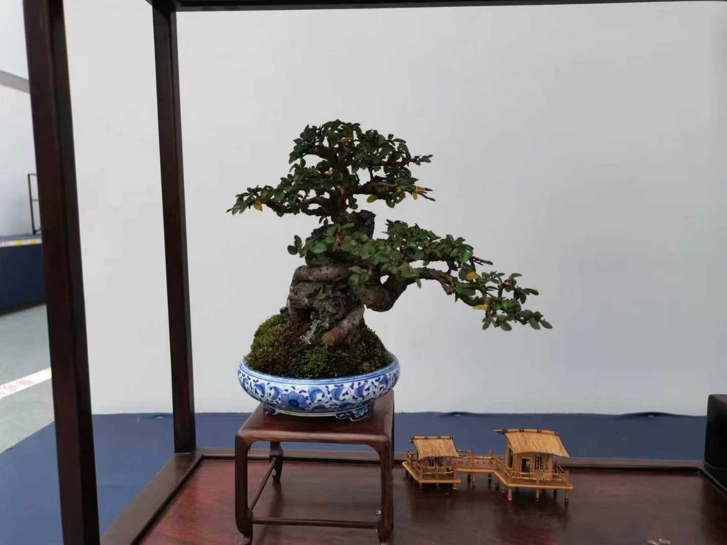 微信图片_2025-09-27_091454_009.jpg