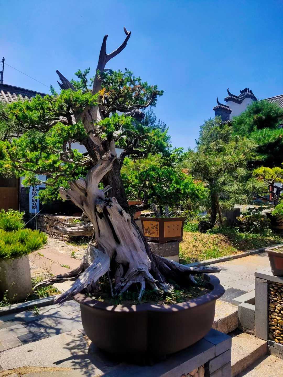 微信图片_2025-09-27_091708_112.jpg