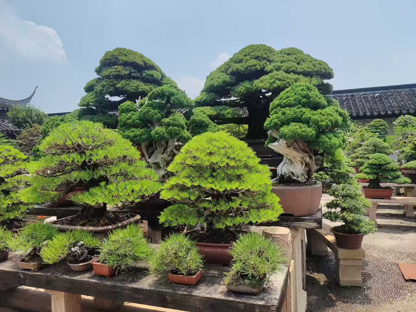 微信图片_2025-09-27_091542_809.jpg